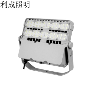 利成照明 泛光灯 100W