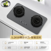 小米(MI)米家智能定时燃气灶P1 AG钢化玻璃面板 可调节底壳 十二道安全防护 家用双灶具5.2KW(天然气)