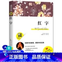 [正版] 世界经典名译典藏书系:红字书原版书 英汉对照 霍桑著 词汇注释 英文原著 名著书籍中英对照 中英双语