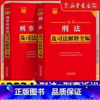 [正版]2024新版2本套 刑法及司法解释全编+刑事诉讼法及司法解释全编 中国刑法典刑事诉讼法条文速查小红书 中国法制
