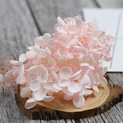 木绣球永生花宝塔绣球国产盒装保鲜花玻璃罩钥匙扣干花diy材料包