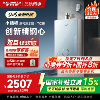 史密斯佳尼特[小精钢TCS5]13升精钢燃气热水器 国家补贴 JSQ26-TCS5 安全守护 持久恒温大水量 新品