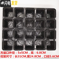 三维工匠掌柜推荐桌面简约多肉植物花盆小黑方扦插育苗塑料方盆价优 黑色5.5CM40个20孔花架2个 中小花盆容器