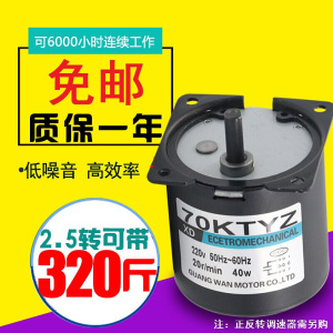 BONJEAN交流同步电机大力矩微型220电机马达40正反转齿轮永磁减机 80转/每分钟 电机+支架