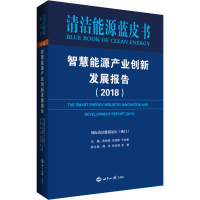 音像智慧能源产业创新发展报告(2018)国际清洁能源论坛(澳门)