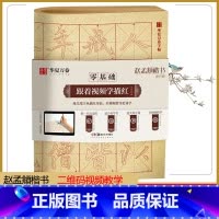 [正版]华夏万卷字帖 零基础跟着视频学描红:赵孟頫楷书胆巴碑 成人初学者毛笔练字帖学生入门描红练习教程字帖