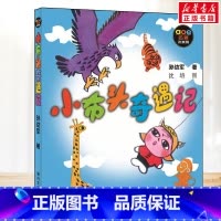 小布头奇遇记 [正版]小布头奇遇记 注音版孙幼军著小学一年级二年级课外书无障碍阅读带拼音春风文艺出版社经典儿童文轩书目
