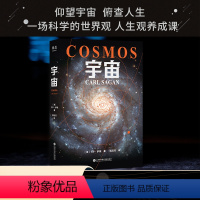 [正版]宇宙 卡尔萨根 霍金 阿西莫夫推崇 在卡尔·萨根以前 没有人解释过“太空” 果麦文化出品书店 书籍