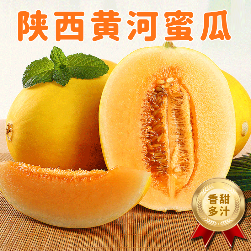 [熊猫鸟]陕西黄河蜜瓜 红肉蜜瓜 带箱5斤装 香甜可口 新鲜水果应季 国产特产