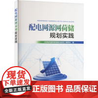 配电网源网荷储规划实践 《配电网源网荷储规划实践》编委会 编 建筑/水利(新)专业科技 正版图书籍 中国电力出版社