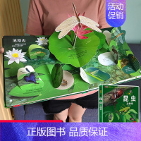 [超大开本]揭秘昆虫立体书 [正版]幼儿安全立体书儿童3d立体书翻翻书 3-6-7-8岁以上宝宝绘本故事书科普益智幼儿认