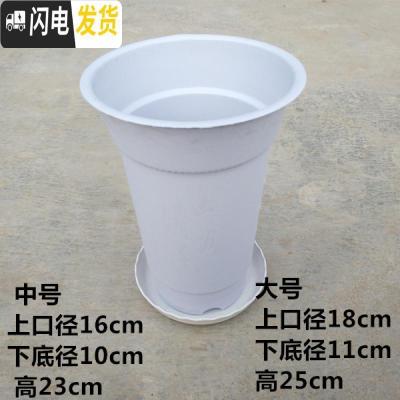 三维工匠塑料花盘 兰花专用花盆 塑料兰花盆 塑料花盆 红色[大号口径18高25cm]带托盘 兰花盆[5个花盆,实花盆容器