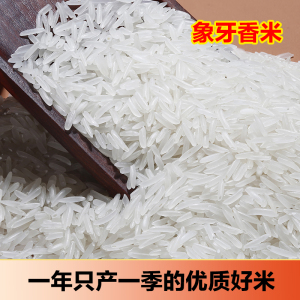 [Q弹]当季新米象牙茉莉香米煮饭米香南方优质大米产地直发