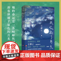 风吹起了月光 王柳云 北漂画家长篇小说 她的命运是一条崎岖坎坷的小路 却也洒满了银色的月光 正版书籍