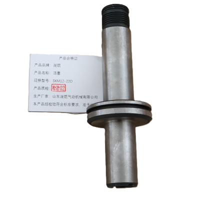 晟焜活塞SKM12-22D