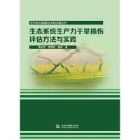 正版新书]生态系统生产力干旱损伤评估方法与实践雷添杰 著97875