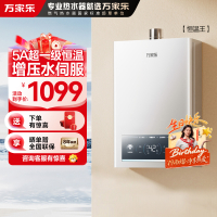 万家乐恒温王[全红婵推荐]燃气热水器JSQ25-13P3 PRO(F)天然气一级恒温增压水伺服一级节能13升防冻