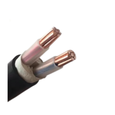 佰裕 铜芯交联聚乙烯铠装阻燃电缆 ZC-YJV22 0.6/1KV 2X16mm² 米