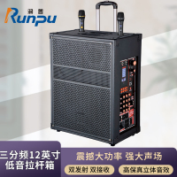 润普Runpu会议音频扩声 三分频12英寸低音卡拉OK户外演出活动野外作训带话筒拉杆音箱RP-S-LGP12F