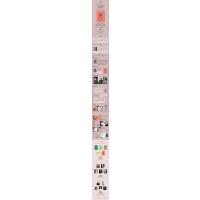 百年文库·第二辑:名人传(罗曼·罗兰诞辰155周年纪念版)