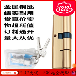 汐岩防盗通用型铜锁芯大锁锁心A 级房WJ锁双面铜锁芯锁