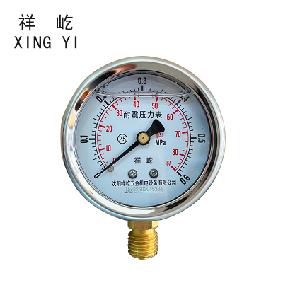 祥屹 耐震压力表 YTN60 块