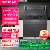 森歌(SENG)集成灶L1 消毒柜款 二星级消毒外观美 大容量 一体式吸烟机燃气灶具 抽油烟机燃气灶灰色液化气