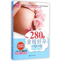 正版新书]280天全程好孕一天一页王红//张咏梅9787512708013