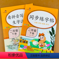 [正版]全套2册 小学二年级下册语文专项训练同步练字帖+看拼音写词语生字注音 人教版写字课专项训练课文内容填空同步练习