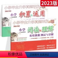 [尖子生⭐推荐]阅读与理解+积累和运用2本 小学升初中 [正版]2024新小升初文言文阅读古诗词专项训练全套名校真题测试