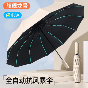 自动伞020