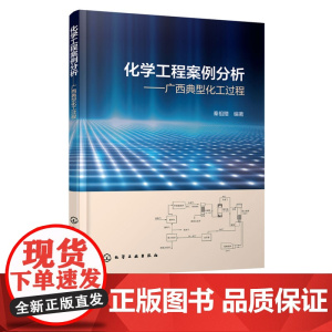 化学工程案例分析 广西典型化工过程 秦祖赠 化工类本科研究生工程技术人员学习书 淀粉加工制糖锰矿加工肉桂油生产化工过程参