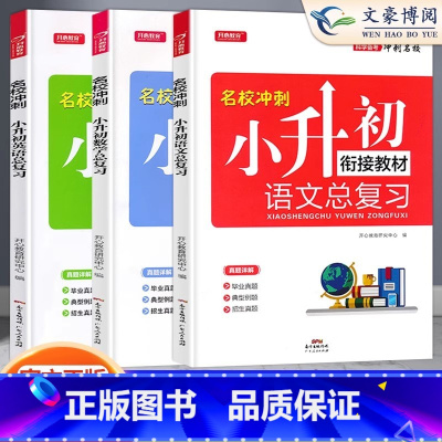 [小升初]总复习语+数+英3本 小学通用 [正版]新版名校冲刺小升初必刷题真题卷系统总复习语文数学英语小升初名师帮你总复