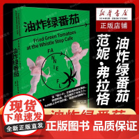 []油炸绿番茄 女性情谊 影视原著 凯西·贝茨主演 我的天才女友 聊天记录 小说图书 油炸绿番茄 现当代外国文学