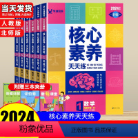 数学/人教版 一年级上 [正版]2024核心素养天天练数学人教版北师大版一年级二年级三年级四年级五年级六年级上册下册小学