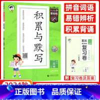 语文 二年级上 [正版]2024秋版小学语文积累与默写二年级上册通用版53小学基础练2年级上册看拼音写词语汉语拼音积累背