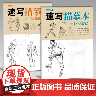 美学大师 速写描摹本上下2册/基础训练篇+强化提高篇sh