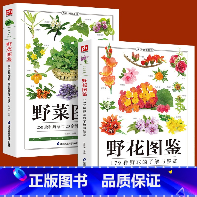 [正版]全2册野菜图鉴+野花图鉴常见花卉园林植物识别图鉴野外野菜识别速查图鉴植物特性药学图鉴植物花草识别图解食疗书籍
