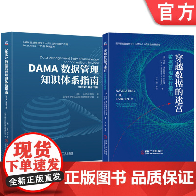 套装 DAMA数据管理知识体系指南+穿越数据的迷宫 套装全2册 数据治理 数据安全 数据仓库 大数据 数据架构 数据
