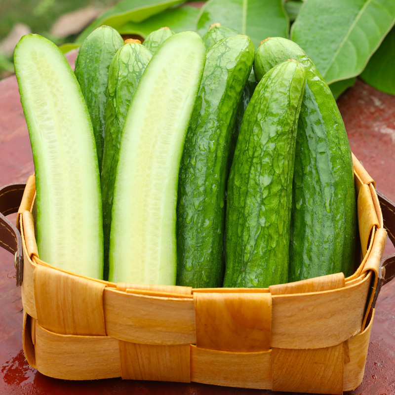 我们为您提供水黄瓜的优质评价,包括水黄瓜商品评价,晒单,百万用户帮