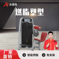 赤道线 后背伸展训练器综合训练器CDX-A523S-BFT2017