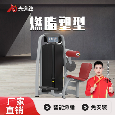 赤道线 后背伸展训练器综合训练器CDX-A523S-BFT2017