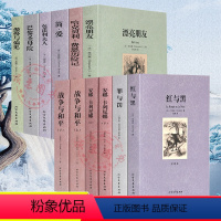全套12册[战争与和平+安娜卡列尼娜+红与黑+简爱+巴黎圣母院+漂亮朋友+傲慢与偏见+红与黑+罪与罚] [正版]战争与和