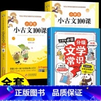 3册 分级文学常识(蓝色)+小古文(上下) [正版]抖音同款小学生必背分级文学常识 1-6年级小学生*背文学常识大全中