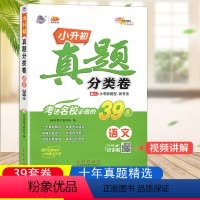 [正版]小升初 真题分类卷语文 冲刺重点中学 68所名校主编 小学升初中语文总复习资料小学教辅书小考真题练习