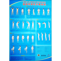 [M]首都医科大学附属北京中医医院风湿病科强直性脊柱炎康复操-9787513226080