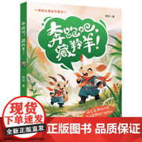 奔跑吧,藏羚羊!