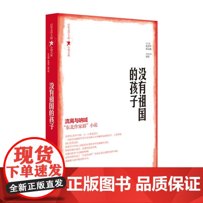 百年文学主流小说大系·没有祖国的孩子