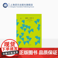 最后一片叶子 欧亨利著 黄源深译 译文40系列 短篇小说集 情理之中意料之外 儿童文学书 上海译文出版社