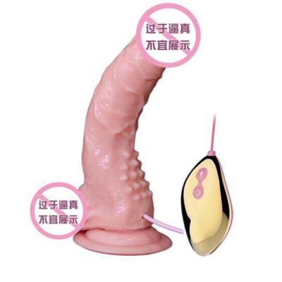 爆热空间战王震动摇摆震动棒充电防水伸缩智能加温假阳具震动加温炮机女用詹姆斯（双层肉感-伸缩抽送震动-加温205mm）